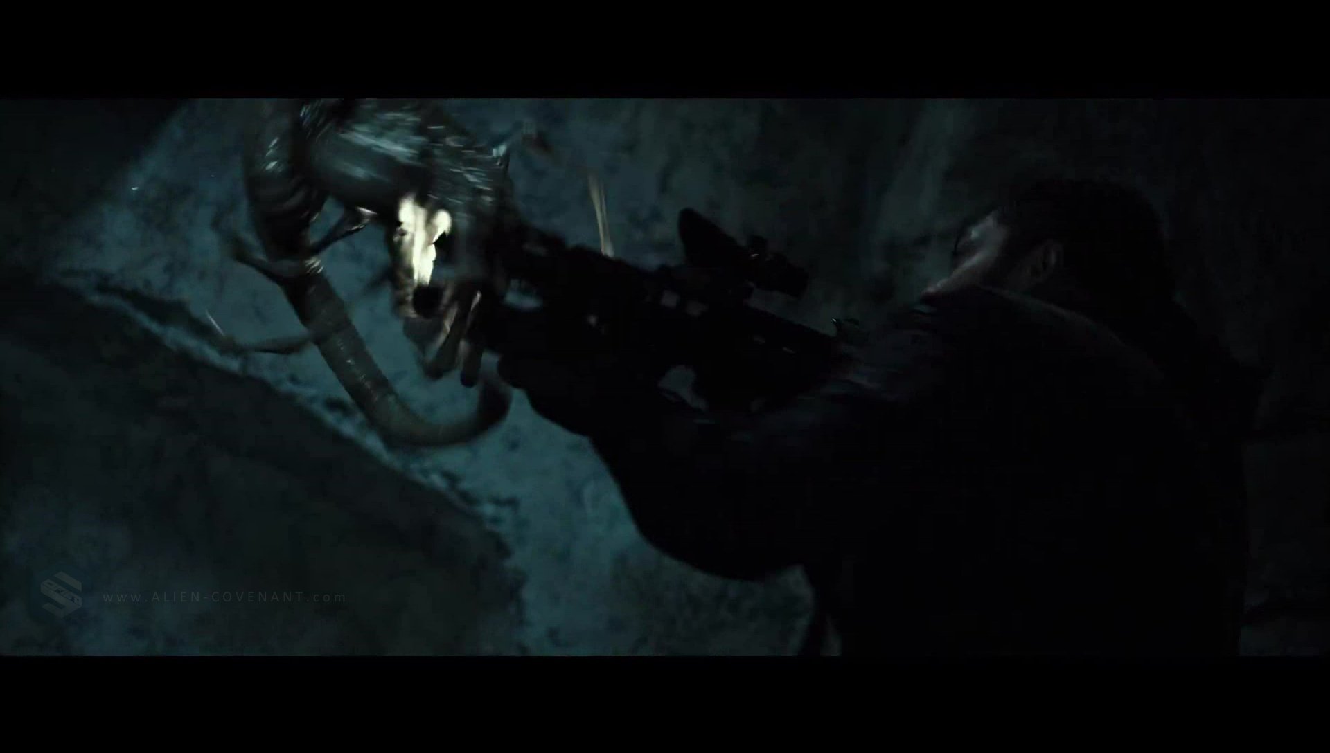 Facehugger on the covenant Alien Covenant Forum