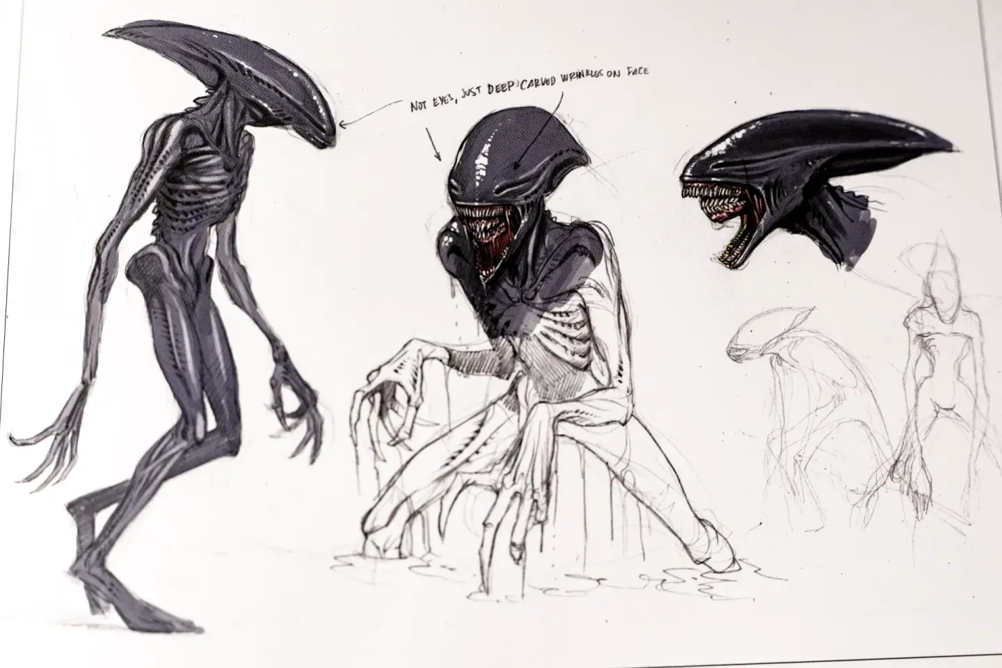 Deacon vs. Xenomorph confrontation in Alien: Covenant? 