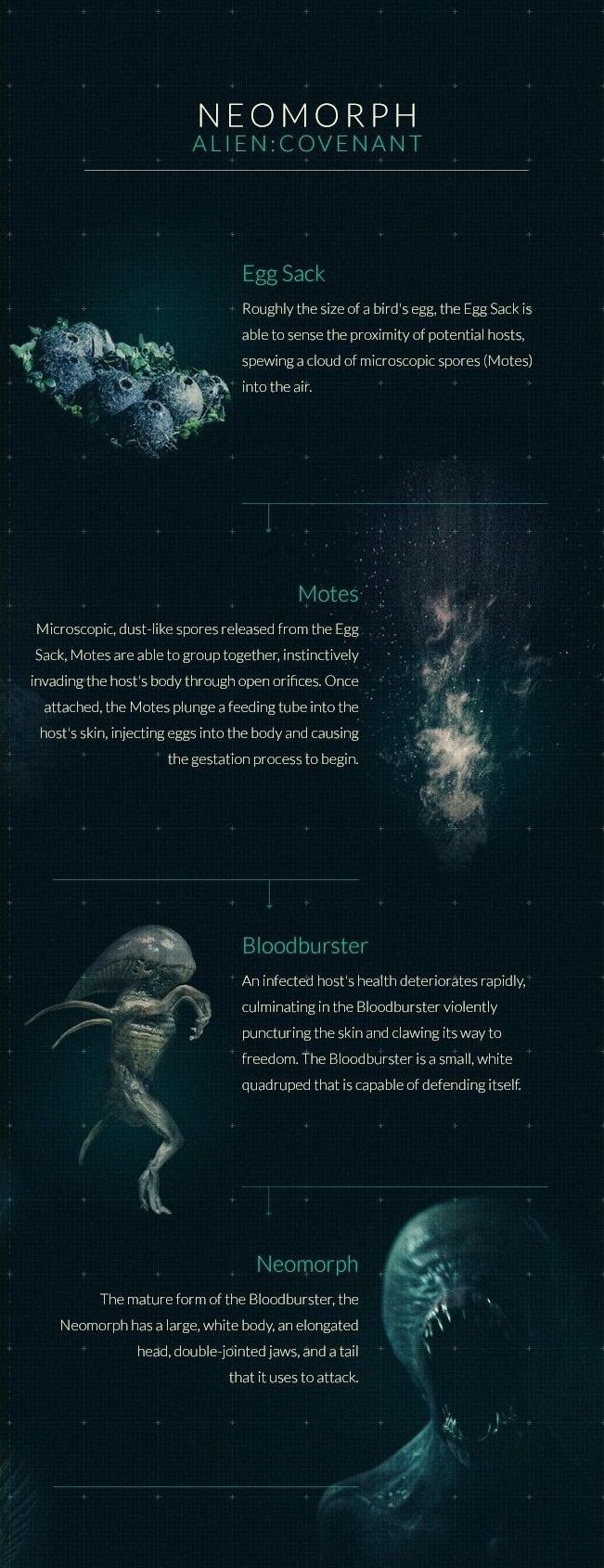 Alien Covenant Evolution Chart