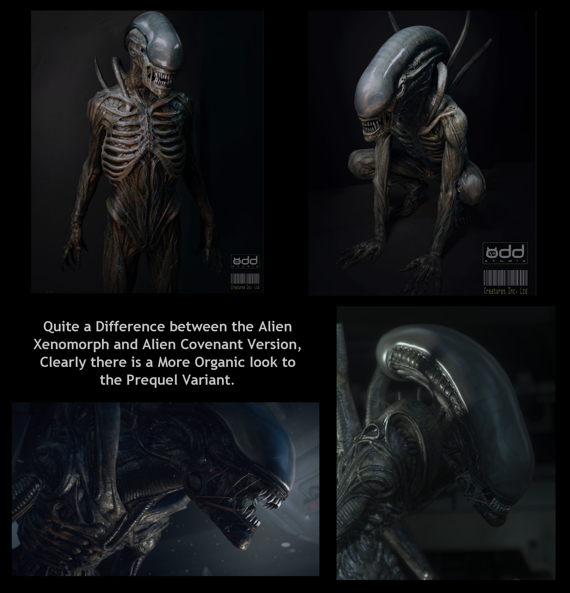 Alien Covenant Evolution Chart