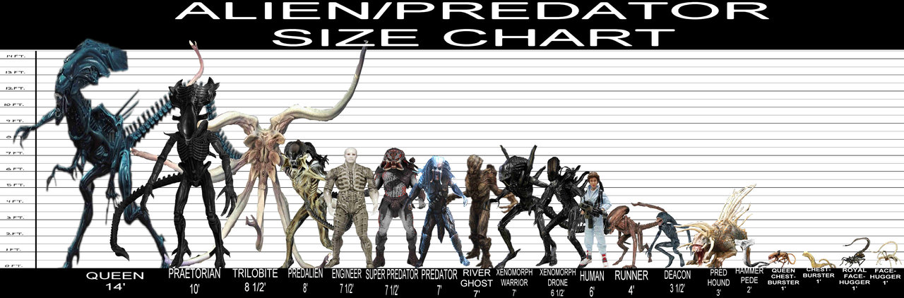 Alien Xenomorph Evolution Chart