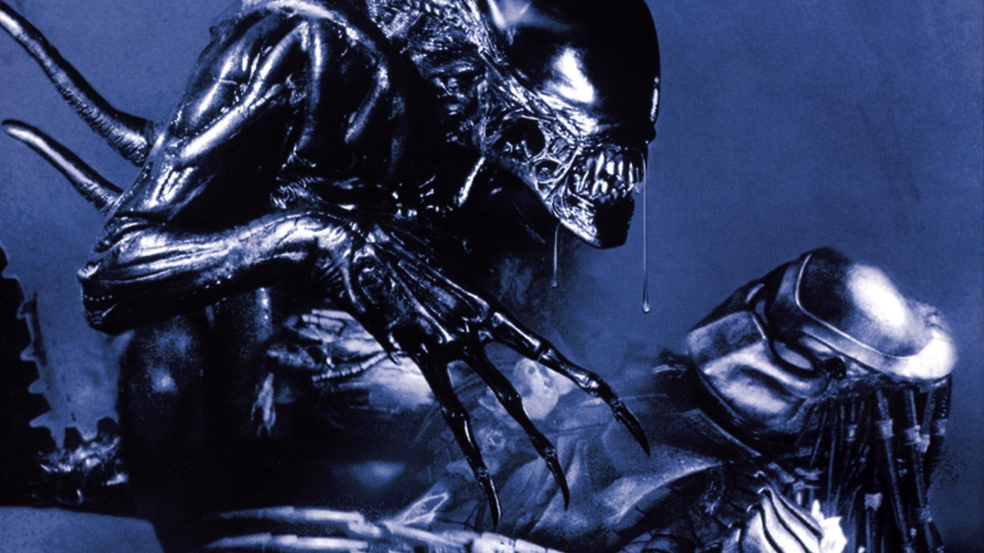 Is Alien vs Predator canon?