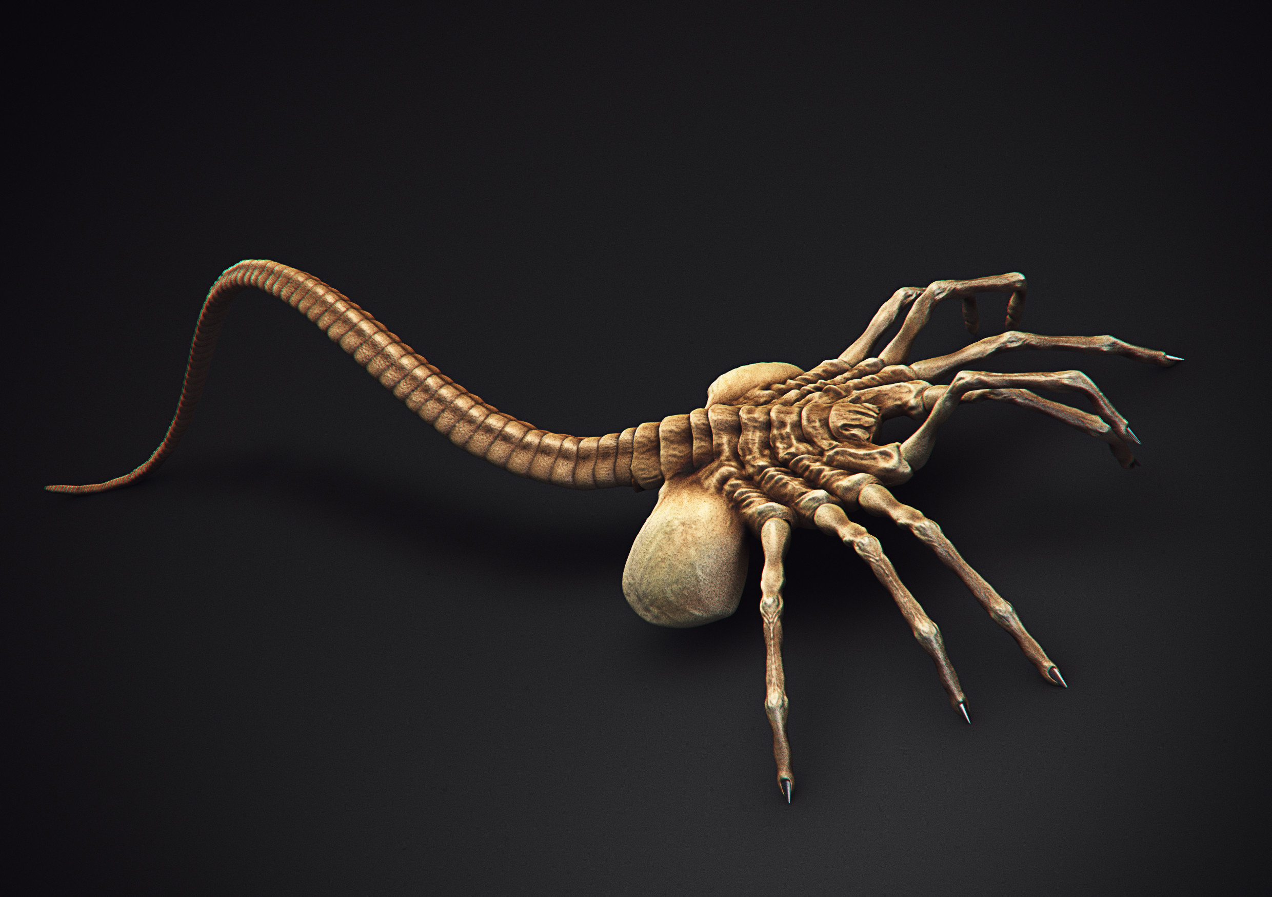 Elizabeth Shaw and the Facehugger Alien Covenant Forum